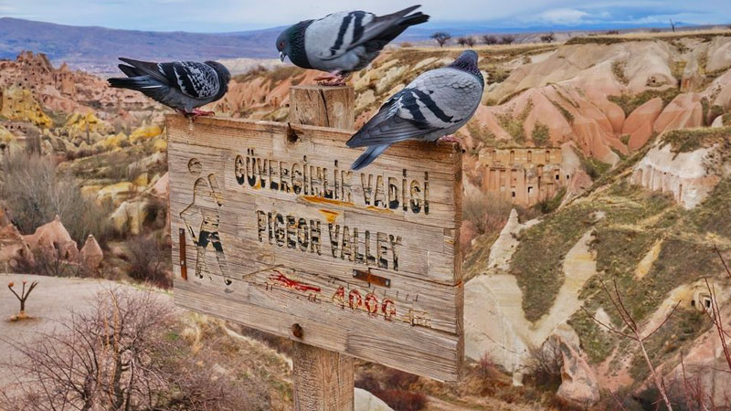 Pigeonniers de Cappadoce