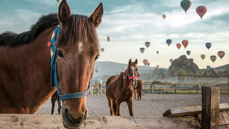 soleil en Cappadoce à cheval